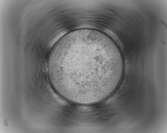 X0000102391241200808221817