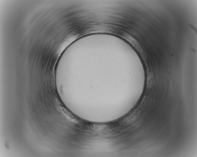 X0000102391242200808221817