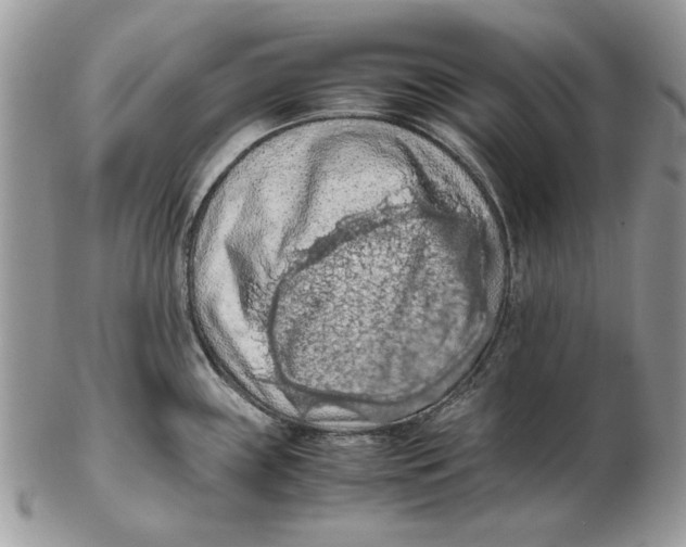 X0000102391243200808221817