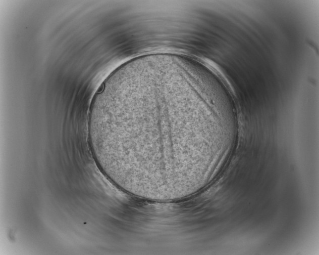 X0000102391244200808221817