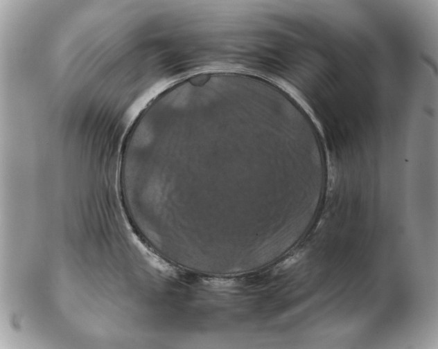 X0000102391245200808221818