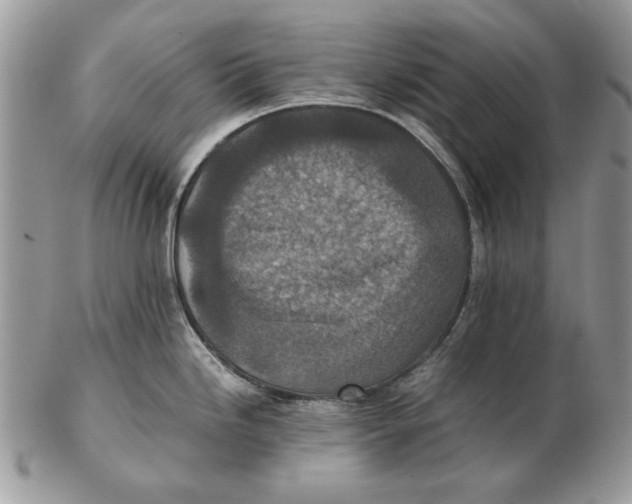 X0000102391246200808221818