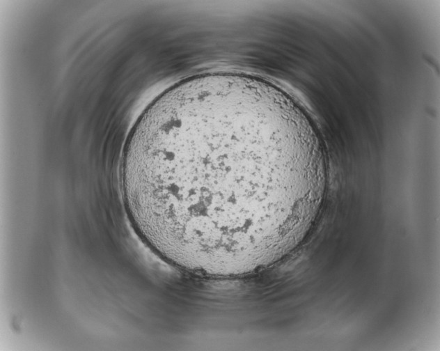 X0000102391247200808221818