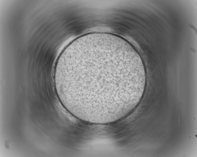 X0000102391248200808221818