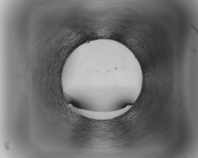 X0000102391249200808221817