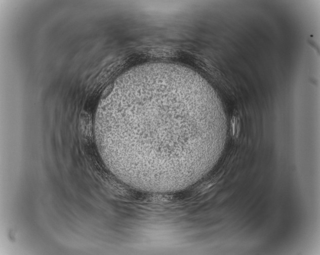 X0000102391251200808221817