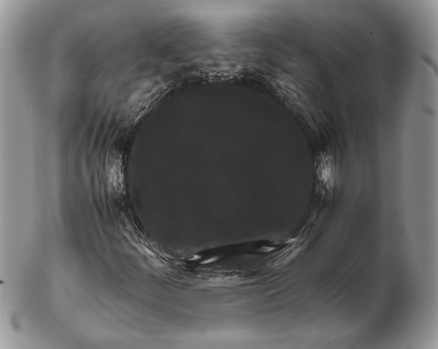 X0000102391252200808221817