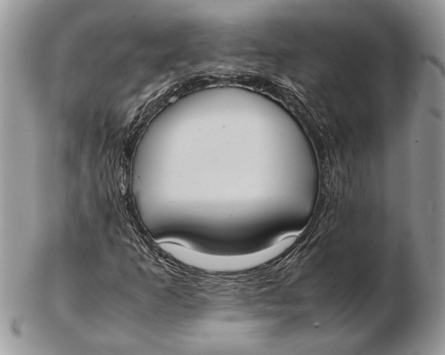 X0000102391253200808221817