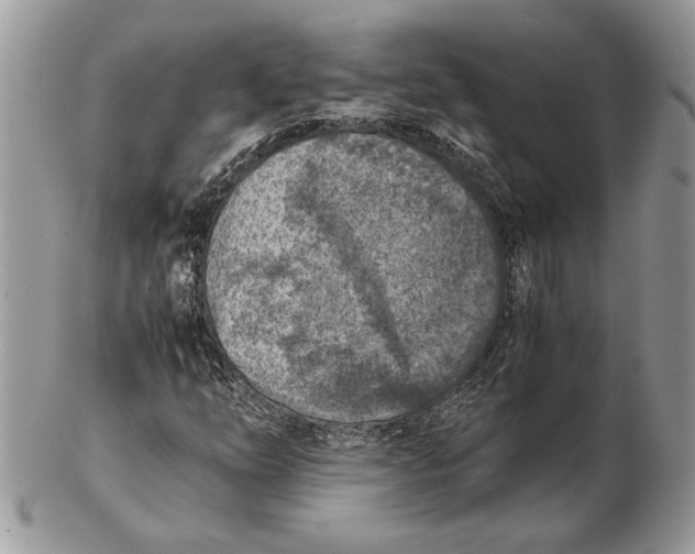 X0000102391254200808221817