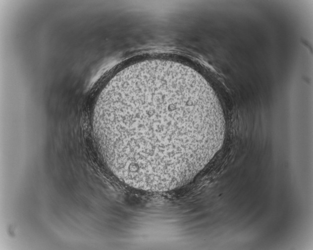 X0000102391255200808221817