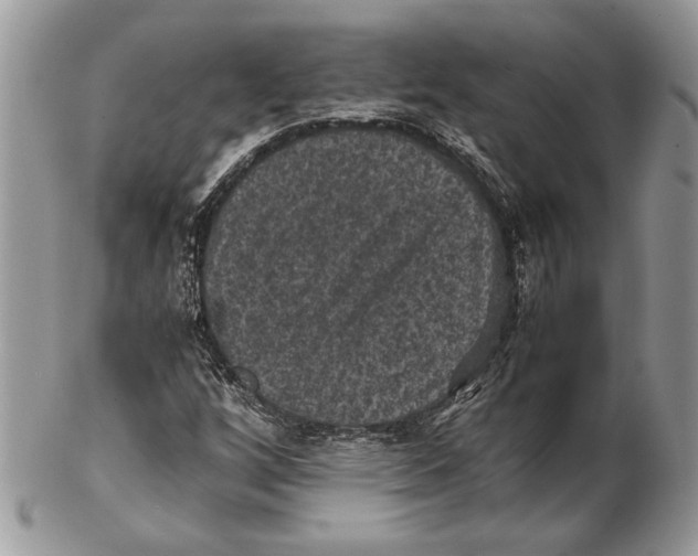 X0000102391256200808221817