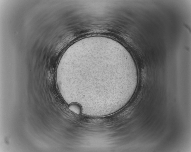 X0000102391257200808221817