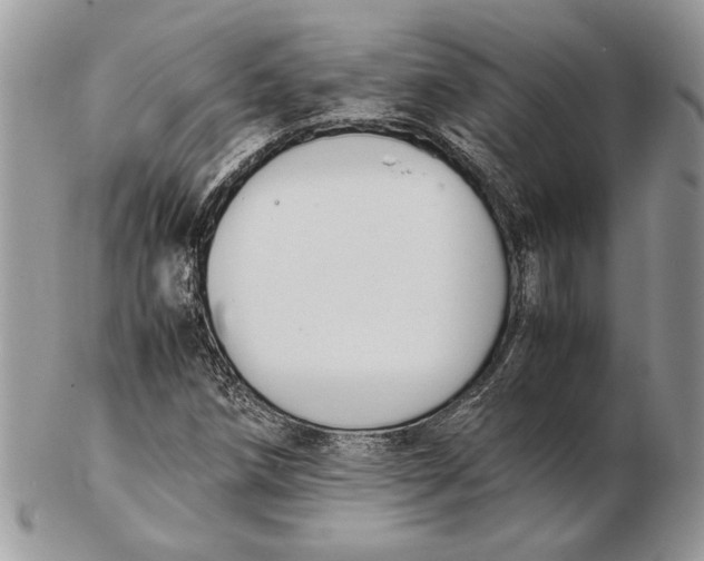 X0000102391258200808221817