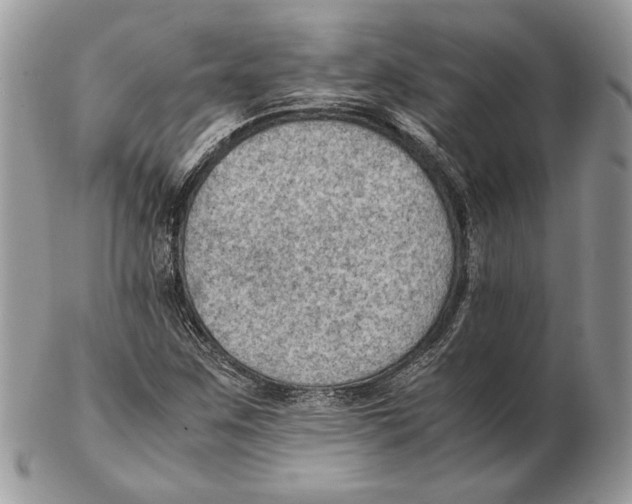 X0000102391259200808221817