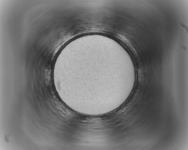 X0000102391260200808221817