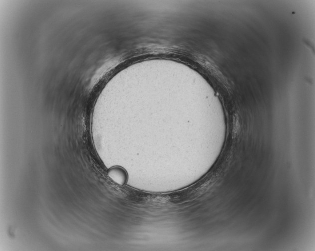 X0000102391261200808221817