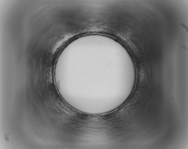 X0000102391262200808221817