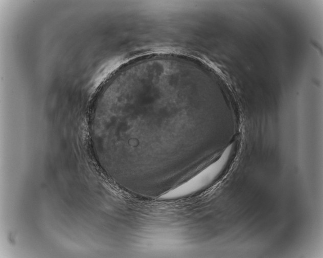 X0000102391263200808221817