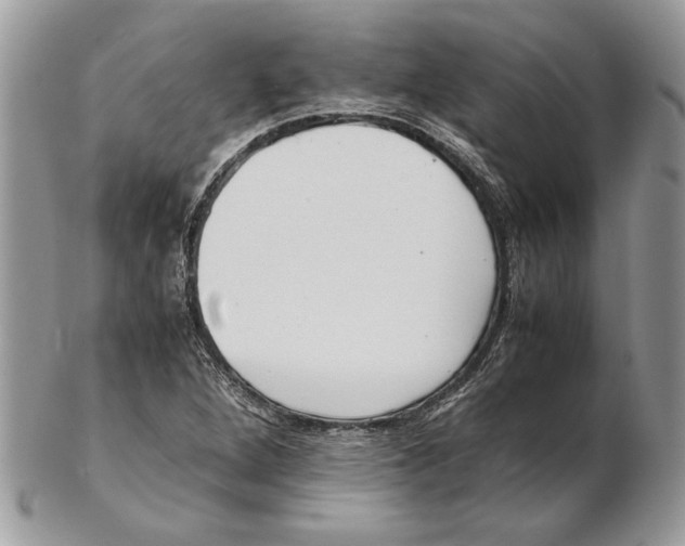 X0000102391264200808221817