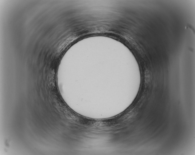 X0000102391265200808221817