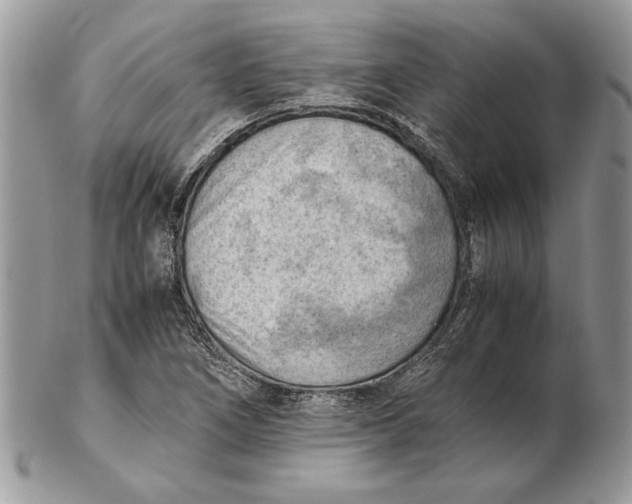 X0000102391266200808221817