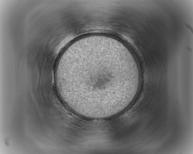 X0000102391267200808221817