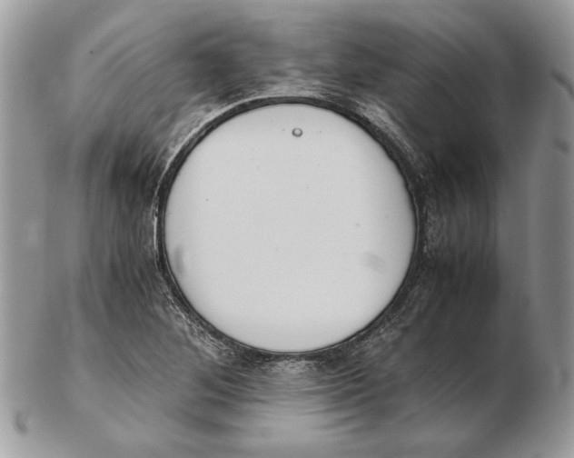 X0000102391268200808221817