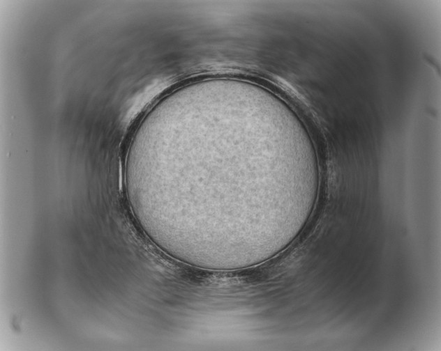 X0000102391269200808221817