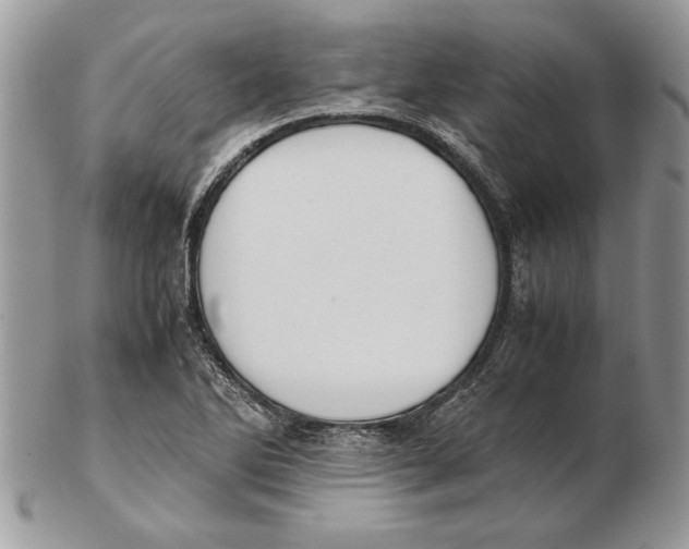 X0000102391270200808221817