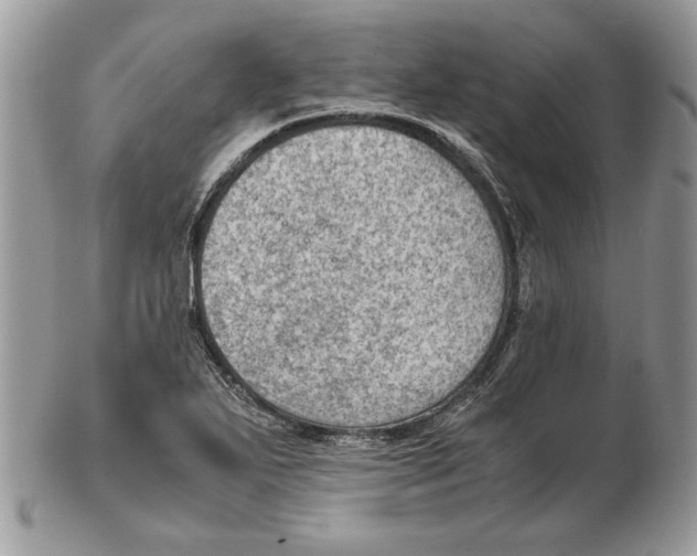 X0000102391271200808221817