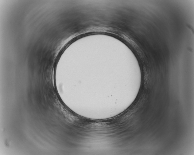 X0000102391272200808221817