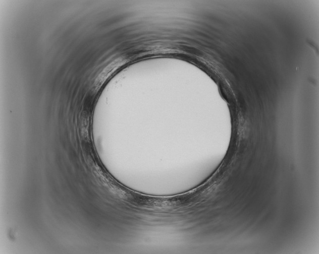 X0000102391273200808221817