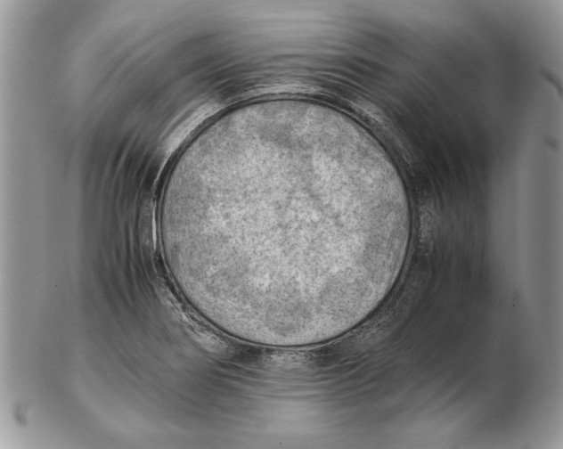 X0000102391274200808221817