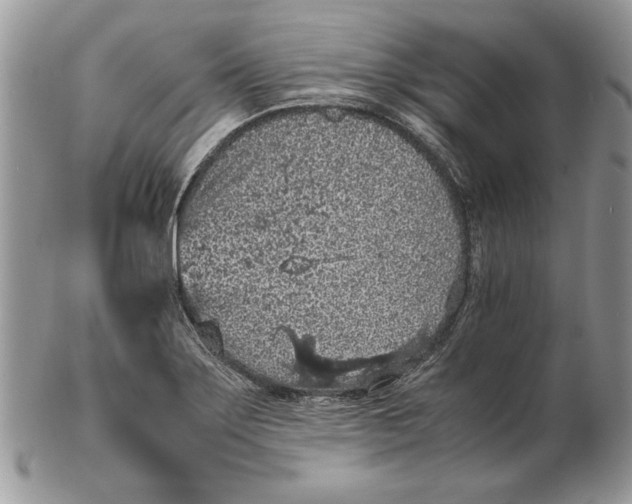 X0000102391275200808221817