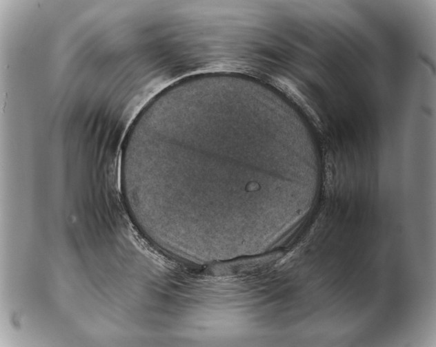 X0000102391276200808221817