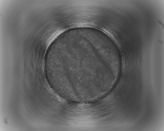 X0000102391277200808221816