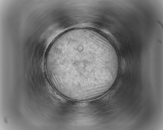 X0000102391278200808221816