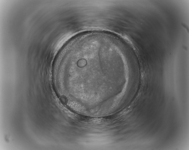 X0000102391279200808221816