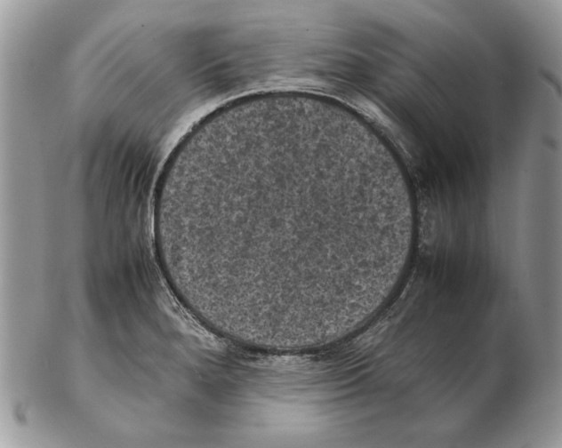 X0000102391280200808221816