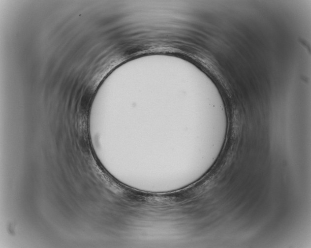 X0000102391281200808221816