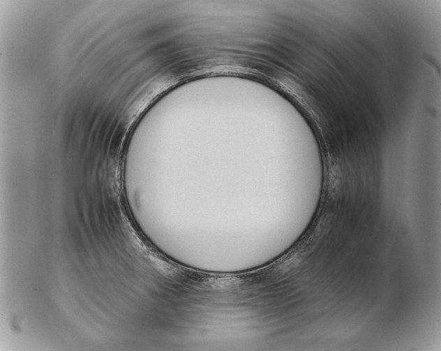 X0000102391282200808221816