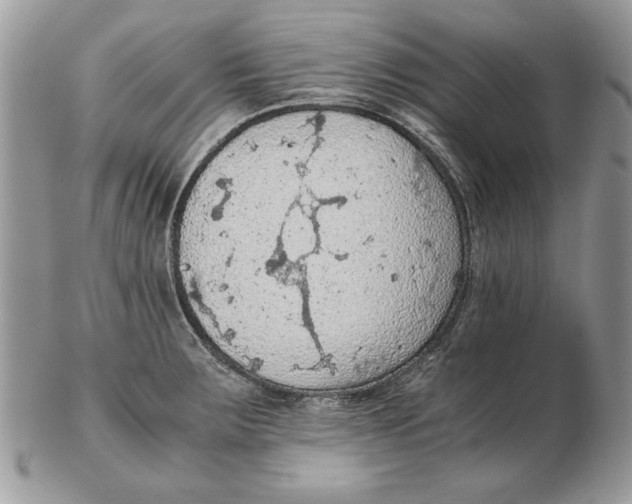 X0000102391283200808221816