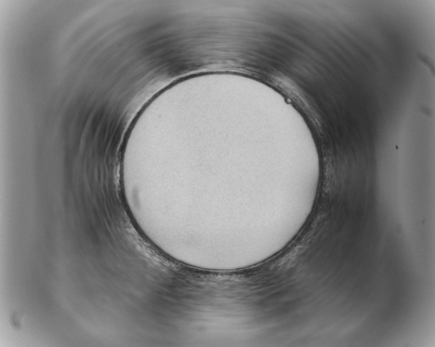 X0000102391284200808221816