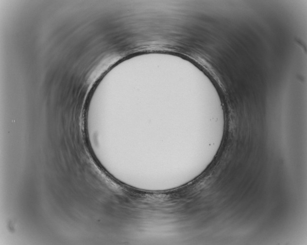 X0000102391285200808221816