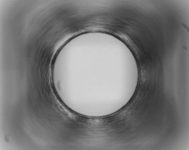 X0000102391286200808221816