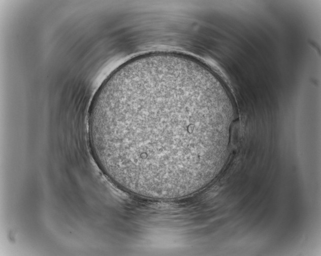 X0000102391287200808221816