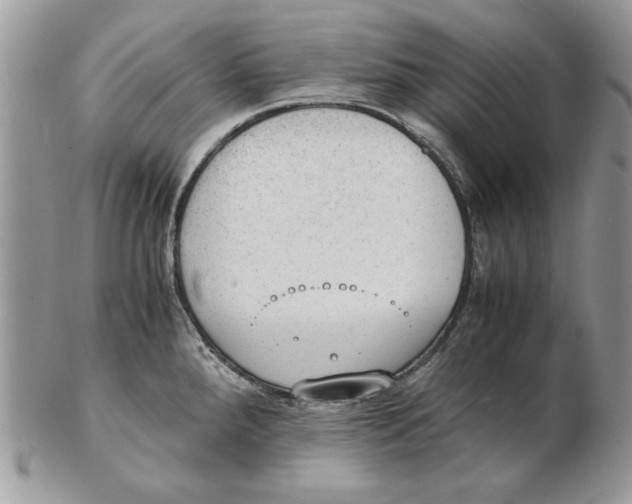 X0000102391288200808221816