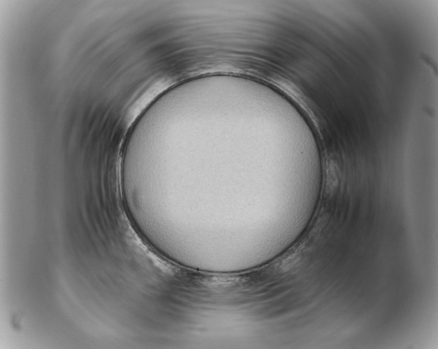 X0000102391290200808221816