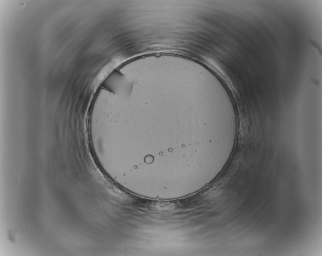 X0000102391291200808221816