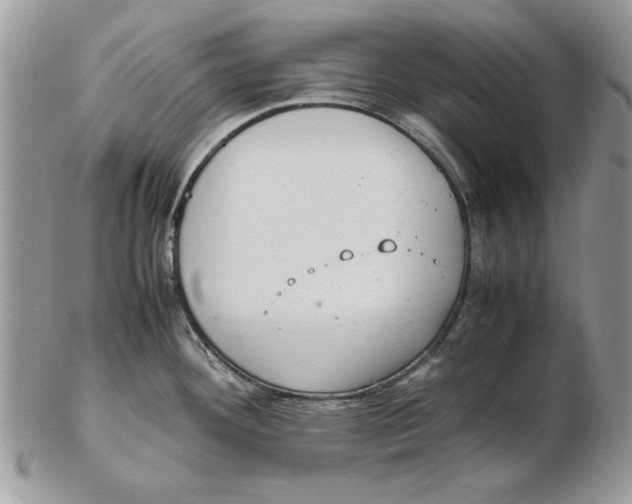 X0000102391292200808221816